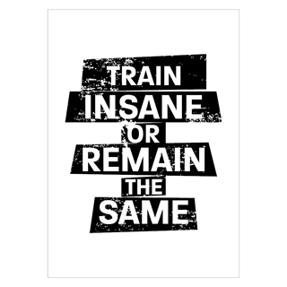 Affisch - Train insane or remain the same