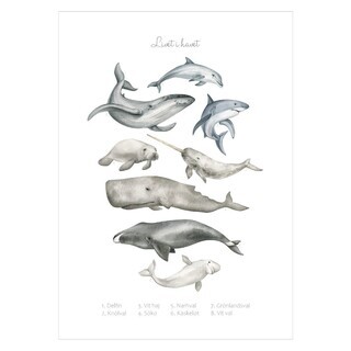 Barn och lärande affisch om djuren i havet